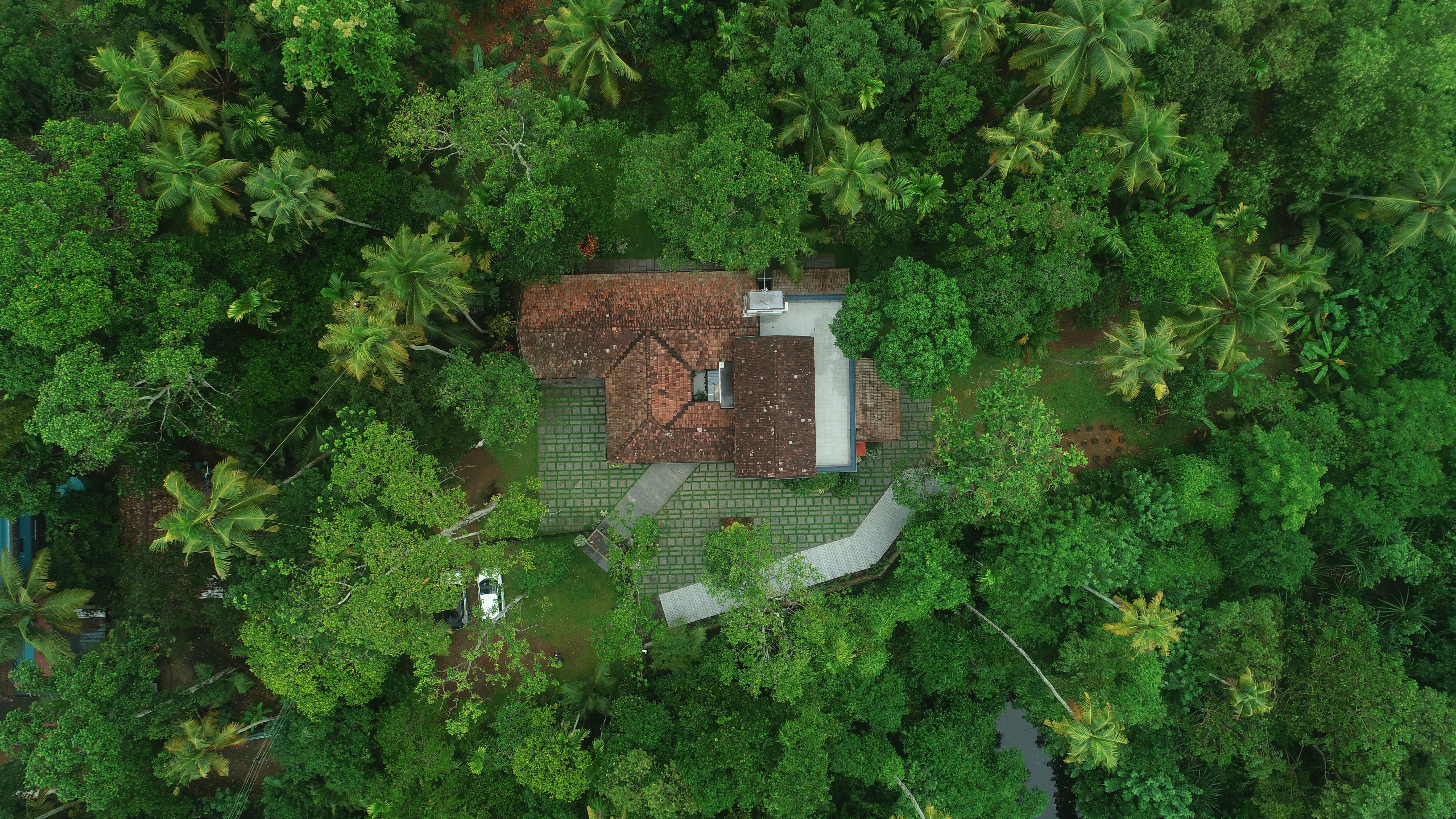 TreeHive Aerial View Exterior