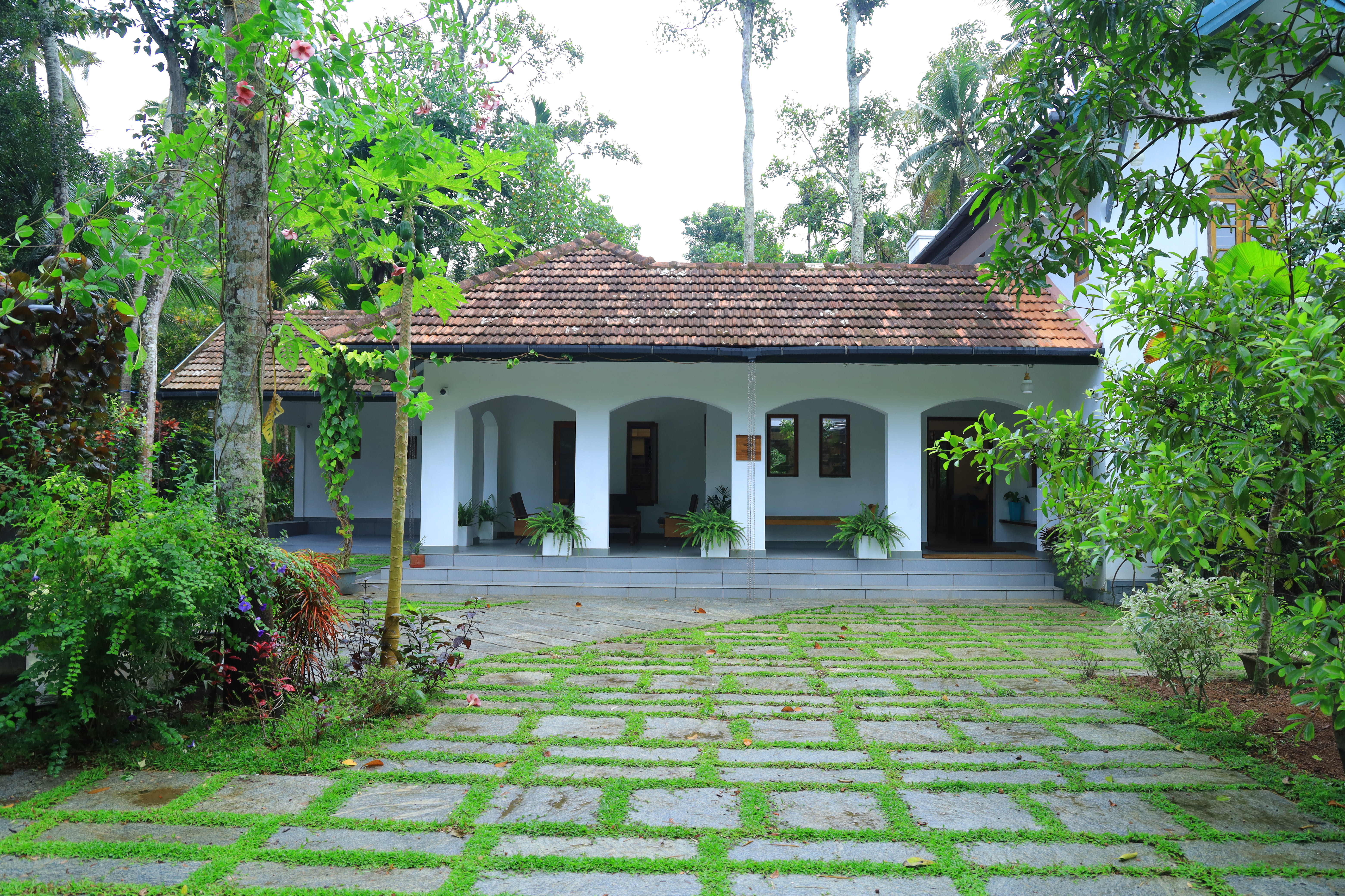 TreeHive Veranda Garden