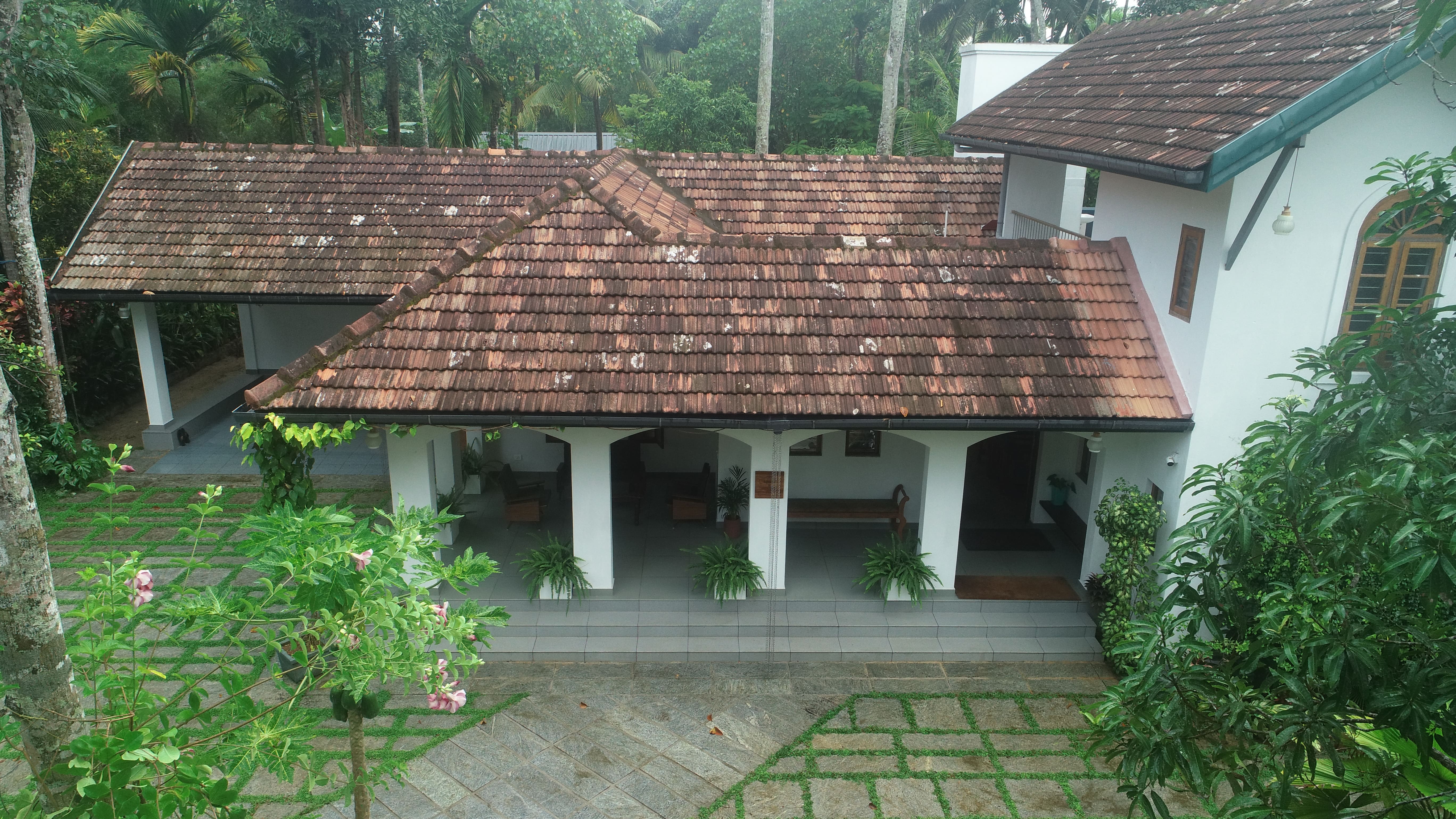 TreeHive House Architecture Exterior