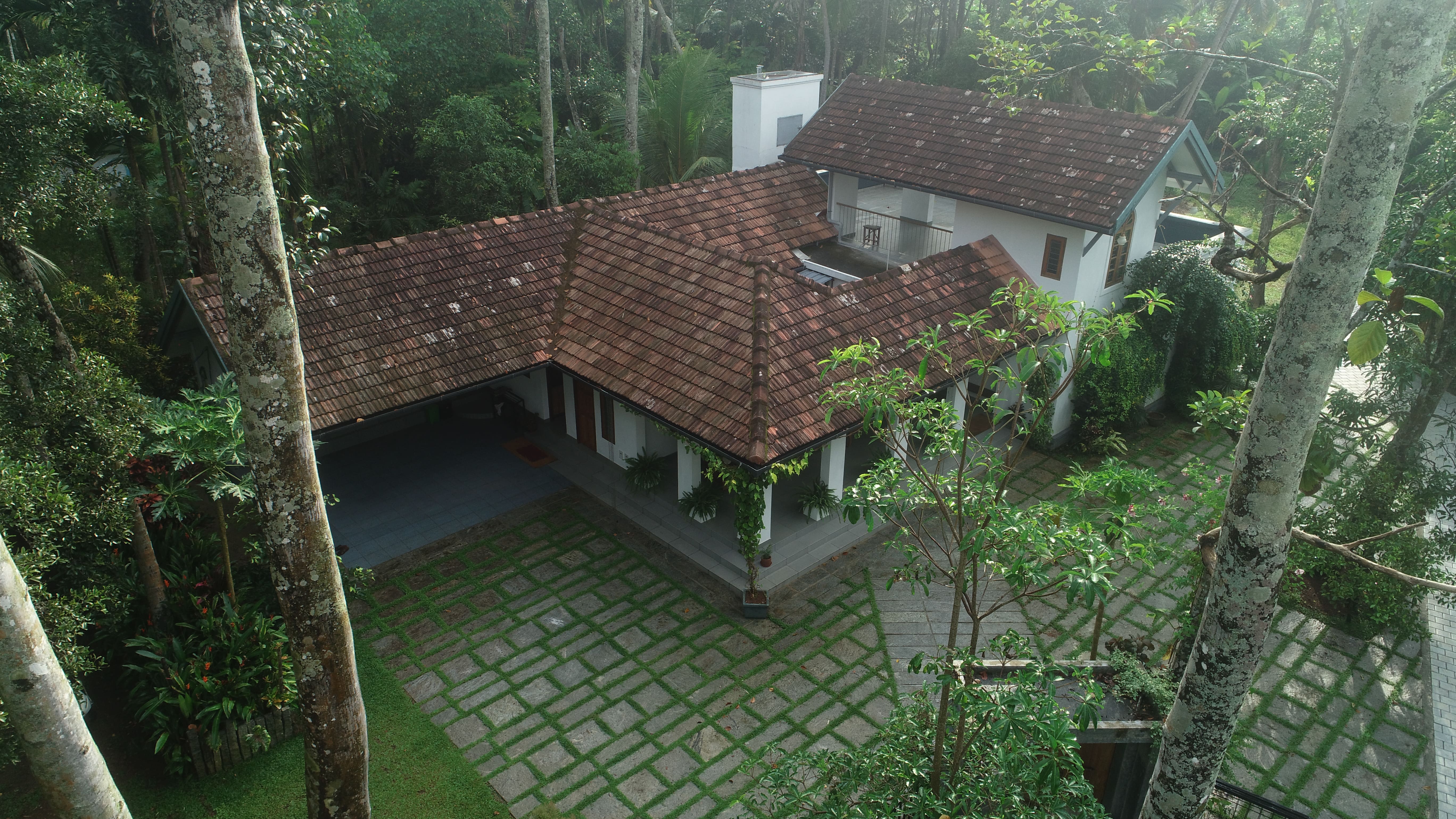 TreeHive Peaceful Courtyard